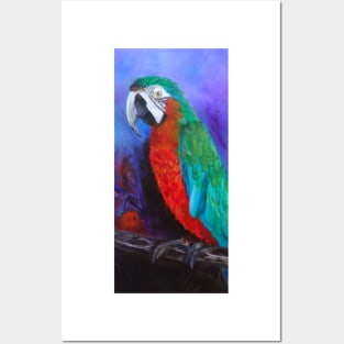 Becky, The Macaw Posters and Art